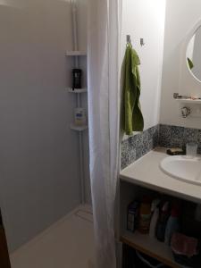 a bathroom with a shower curtain next to a sink at Chalet calme in Saint-Léger-les-Mélèzes