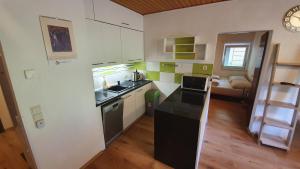 Kuchyň nebo kuchyňský kout v ubytování Apartmán Tauplitz