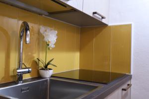 a kitchen with yellow walls and a sink with a plant at La Pìcola Cèsa de Sèn Nicolò in Mazzin +132 photos