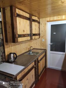 eine Küche mit einer Spüle und einer Arbeitsplatte in der Unterkunft Чан-садиба Гуцульська пісня in Mykulytschyn