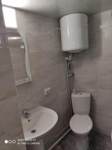 ein Bad mit einem WC und einem Waschbecken in der Unterkunft Чан-садиба Гуцульська пісня in Mykulytschyn