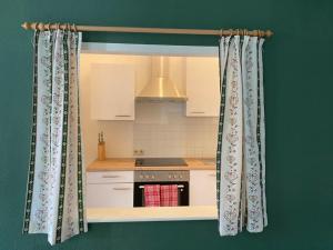 Kuchyň nebo kuchyňský kout v ubytování Ferienappartment zum grünen Hirsch + 11 fotografií