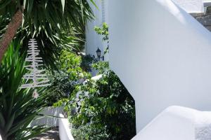 a staircase leading up to a house with plants at Christine Studios in Poros