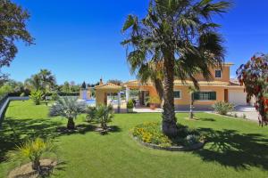 une maison avec un palmier dans une cour dans l'établissement Villa João Paulo, à Albufeira