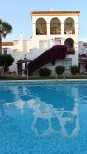 einem großen Pool vor einem Gebäude in der Unterkunft Дуплекс " Torre Gala" Playa Flamenca in Playa Flamenca