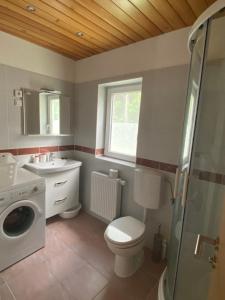 La salle de bains est pourvue de toilettes, d'un lavabo et d'un lave-linge. dans l'établissement Sobe v Gozdu, à Gozd Martuljek
