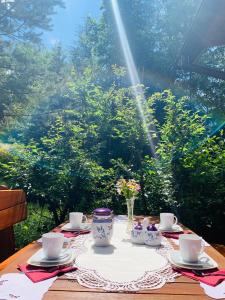 Fotografie z fotogalerie ubytování Dom CROCUS z ogrodem w Parku Krajobrazowym v destinaci Brenna + 46 fotografií