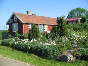 una casa roja con un jardín con flores blancas en Backgårdens Turism & Kultur, en Backgarden