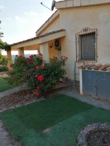 Taman di luar S'orrosa casa vacanze bifamiliare in montagna panorama stupendo Sardegna