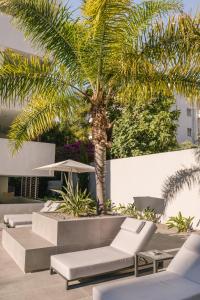 a palm tree in the middle of a patio at Brasil Suites Boutique Hotel in Athens