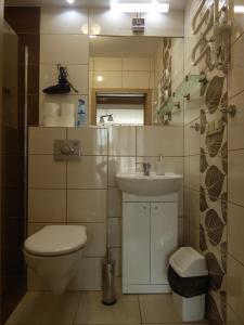 a small bathroom with a toilet and a sink at Apartament Królewiecki - pokoje gościnne in Sztutowo