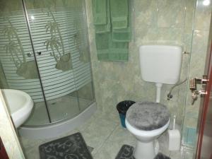 Fotografie z fotogalerie ubytování Pensiunea Anca v destinaci Crisan