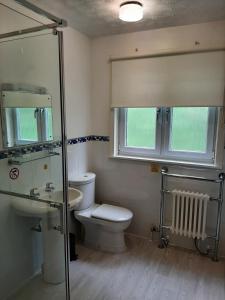 een badkamer met een toilet, een wastafel en een raam bij Laggan Hotel in Laggan