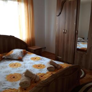 Billede fra billedgalleriet på Pensiunea Covaciu i Vadu Izei