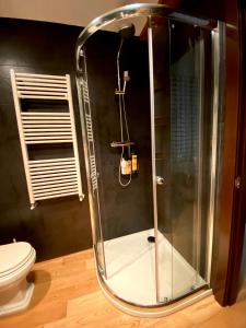 a glass shower in a bathroom with a toilet at Grand Plaza Mio Cid in Burgos