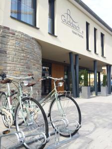 Jízda na kole v ubytování Hotel Martha nebo okolí