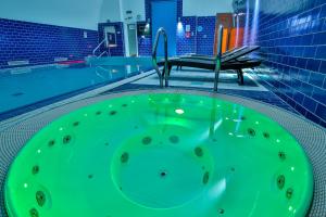 Basen w obiekcie LH Hotel Dvořák Tábor Congress & Wellness lub w pobliżu