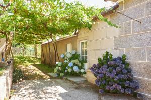 Vonkajšia záhrada v ubytovaní Enoturismo Casa de Chantada