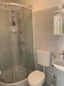 a bathroom with a shower and a toilet and a sink at Studio Apartments More in Korčula