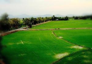 un gran campo de césped verde con montañas en el fondo en Soo Guan Villa, en Arau