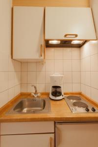 - un comptoir de cuisine avec évier et cafetière dans l'établissement Rustikales Apartment 35qm mit Balkon Nähe Freiburg, à Simonswald