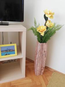 Televízia a/alebo spoločenská miestnosť v ubytovaní NewIsland Family Apartman
