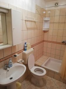 Koupelna v ubytování Apartmani Matiša