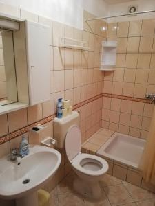 a bathroom with a toilet and a sink and a tub at Apartmani Matiša in Lastovo
