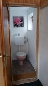 baño con aseo rosa en una habitación en Kamilla Vendégház, en Ács