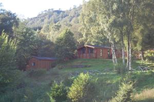 Gallery image of Woodland Spruce Lodge in Killin