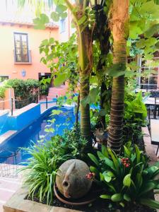 un jardín frente a una piscina con árboles y un osito de peluche en Hotel Amanhavis, en Benahavís