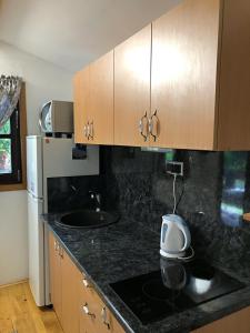 a kitchen with a black counter top and wooden cabinets at Studio apartman Firdaus-Bihać, Dobrenica bb in Bihać