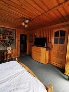 ザコパネにあるWilla Na Potokuのベッドルーム(ベッド1台、薄型テレビ付)