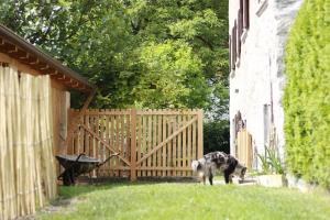 Gallery image of B&B Casa Gori in Madice