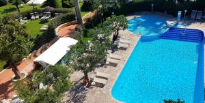 an overhead view of a swimming pool with chairs and trees at Hotel Alpha in Sant'Agnello