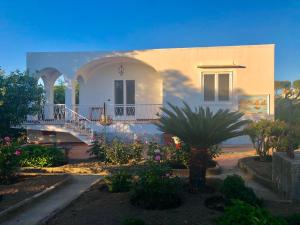 a white house with a palm tree in front of it at Villa Catenacci Anacapri in Anacapri