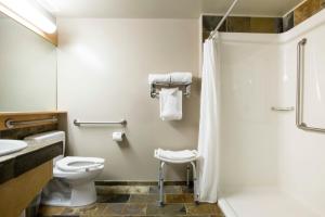 a bathroom with a toilet and a sink at The Juniper Hotel & Bistro in Banff