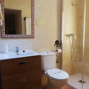 y baño con aseo, lavabo y ducha. en Hotel Don Carlos Cáceres en Cáceres