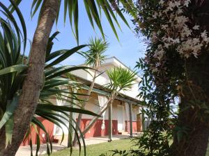 a house with palm trees in front of it at Casablanca El Petit Hotel in Deltebre