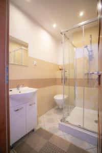 a bathroom with a shower and a sink and a toilet at Zagroda na zakręcie in Lipnica Mała