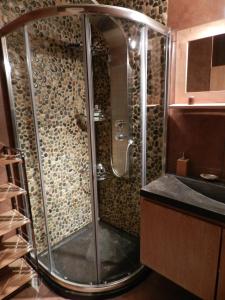 La salle de bains est pourvue d'une douche avec une porte en verre. dans l'établissement Lac d'Annecy T2 grand jardin, à Doussard