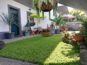 Fotografie z fotogalerie ubytování Madeira Holiday Flats ve Funchalu