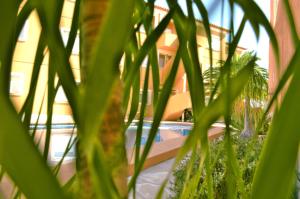 Vonkajšia záhrada v ubytovaní El Rincón De Denia - Paraiso Del Sol