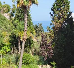 a group of palm trees with the ocean in the background at Praia da Luz Monique Apartment in Luz