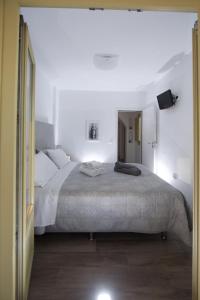 a bedroom with a large bed in a white room at Diasino Apartments and Car Rental in Katapola