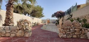 a stone wall next to a path with a palm tree at La Casa Dei Delfini in Lampedusa