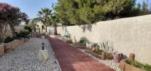 a garden with a stone wall and a light on a pathway at La Casa Dei Delfini in Lampedusa