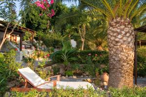 a chair and a palm tree in a garden at Yiannis Retreat in Kato Zakros