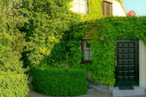 a building with a green door and some bushes at Biburg86420 in Biburg