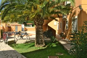 Vonkajšia záhrada v ubytovaní El Rincón De Denia - Paraiso Del Sol